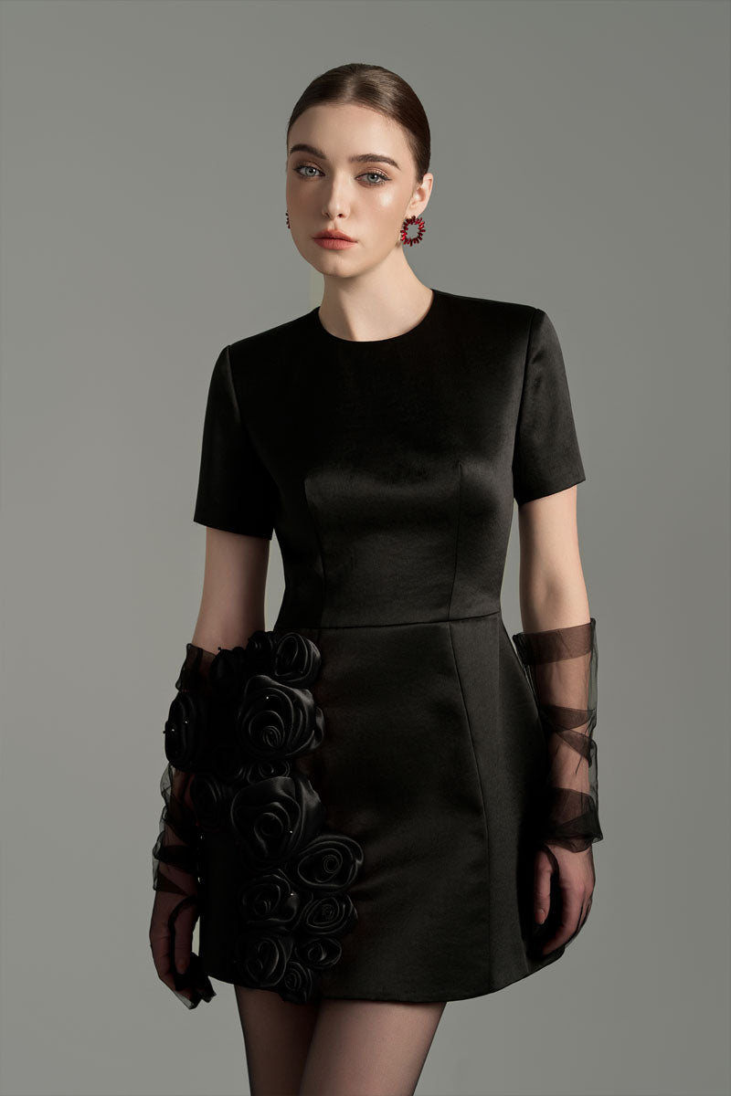 EMBROIDERED SHORT SLEEVE MINI DRESS IN BLACK