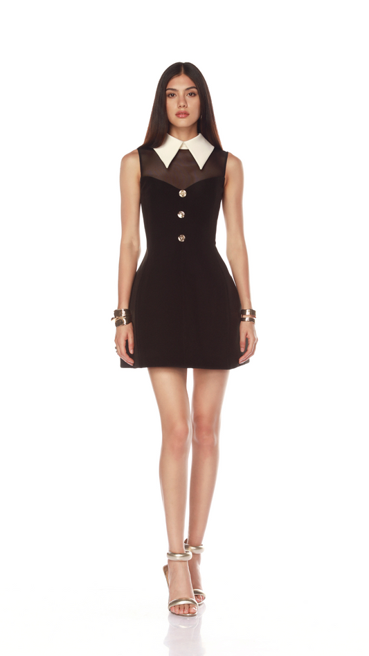 Simone Black Dress