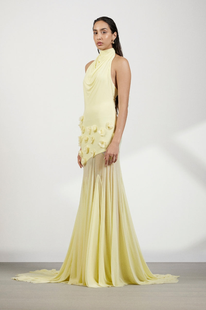 CELESTE MAXI DRESS