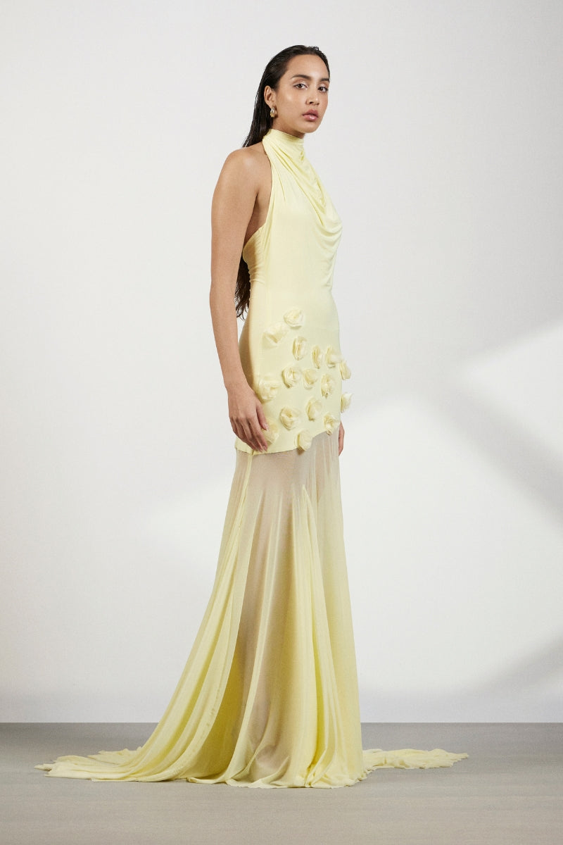 CELESTE MAXI DRESS
