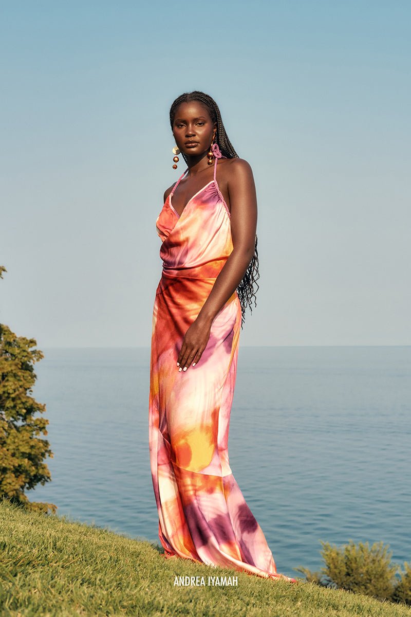 TIRO FULL LENGTH DRESS IN DANDI PRINT