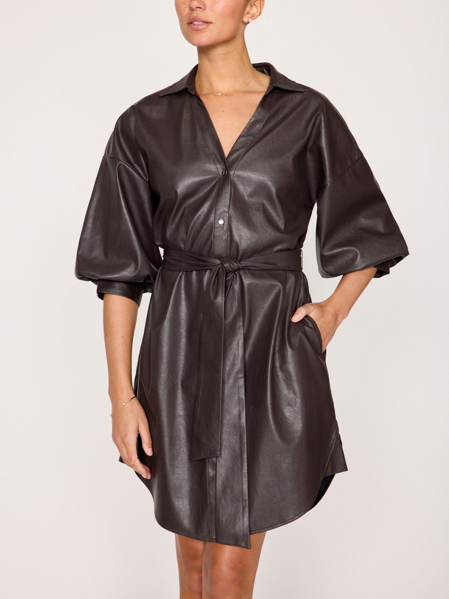 The Kate Belted Vegan Leather Dress