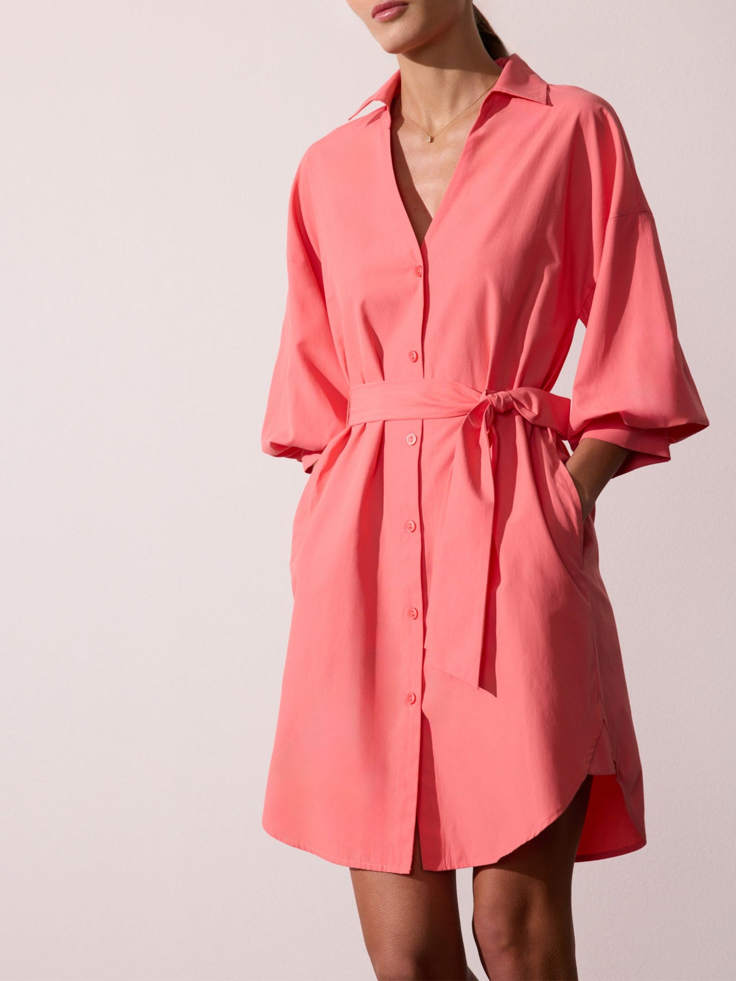 The Kate Belted Dress