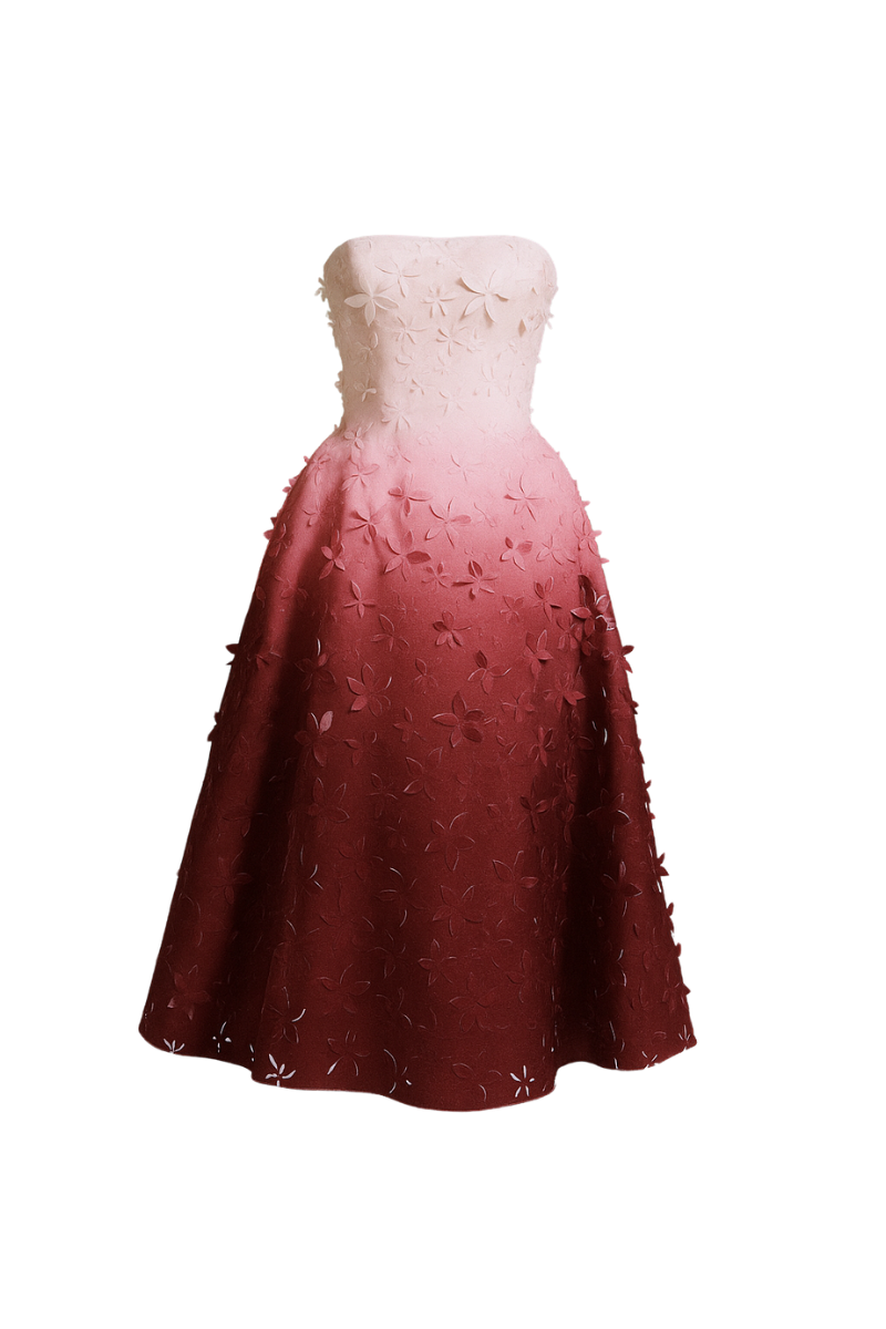 LASER CUT OMBRE ORGANZE DRESS