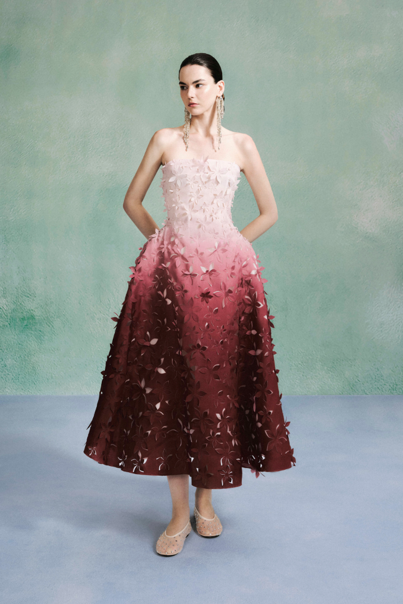LASER CUT OMBRE ORGANZE DRESS