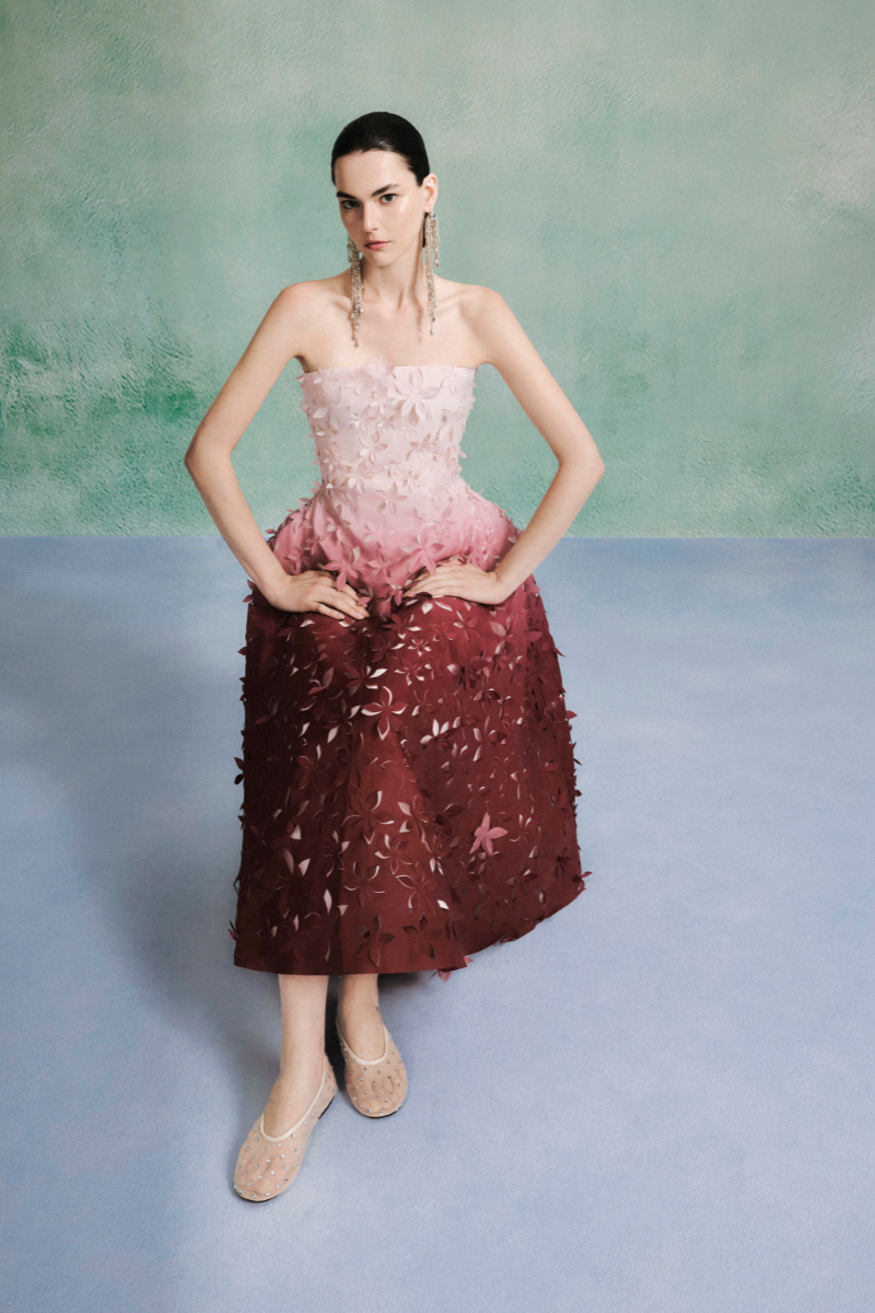LASER CUT OMBRE ORGANZE DRESS